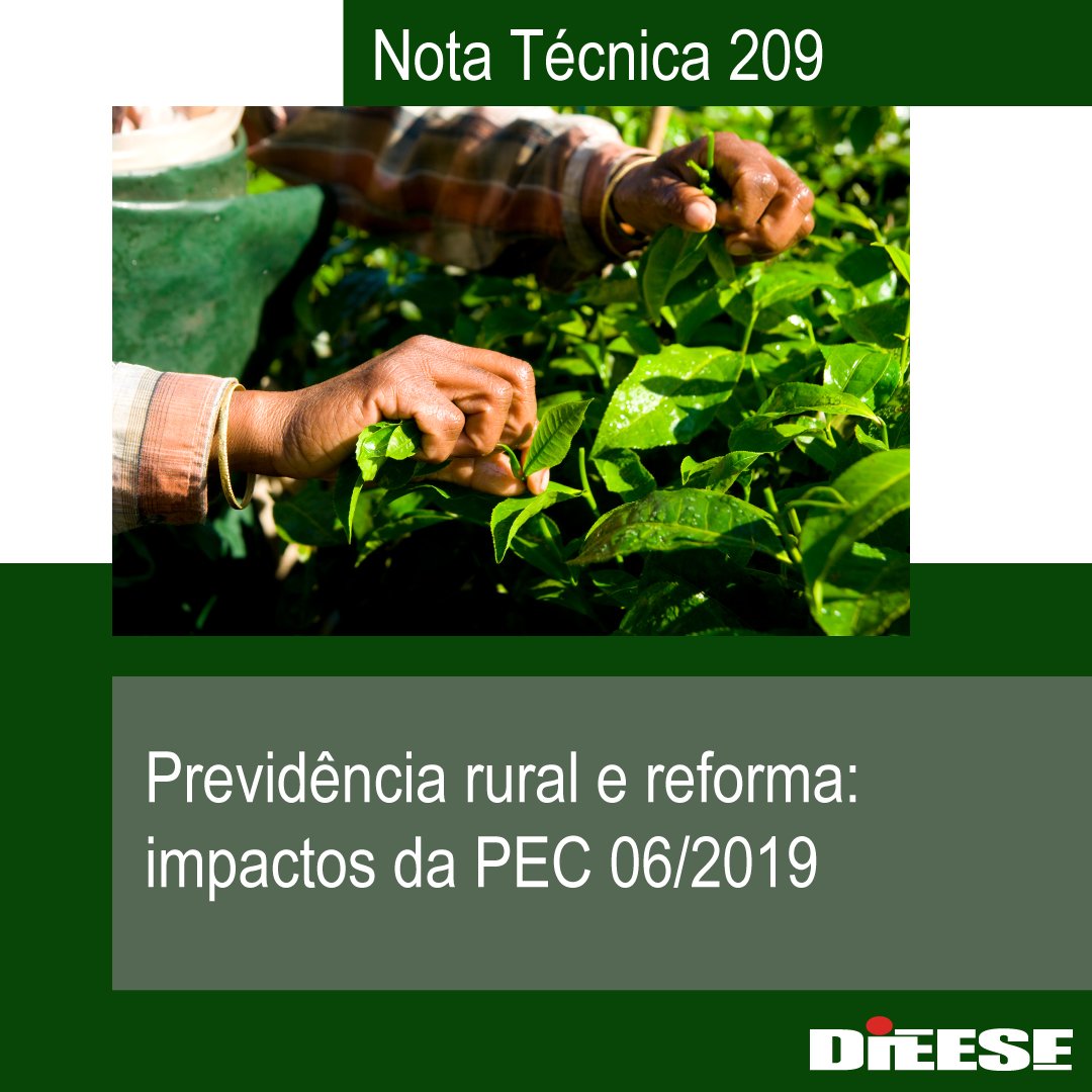 dieese_online's tweet photo. Nota Técnica 209 - Previdência rural e reforma: impactos da PEC 06/2019
https://t.co/Ww8qyIncZ2
#DIEESE #PrevidênciaSocial #aposentadoria #PrevidênciaRural #AposentadoriaRural #IdadeMínima #pobreza #MP871 #PEC06 #Brasil https://t.co/cErWVZXfH3