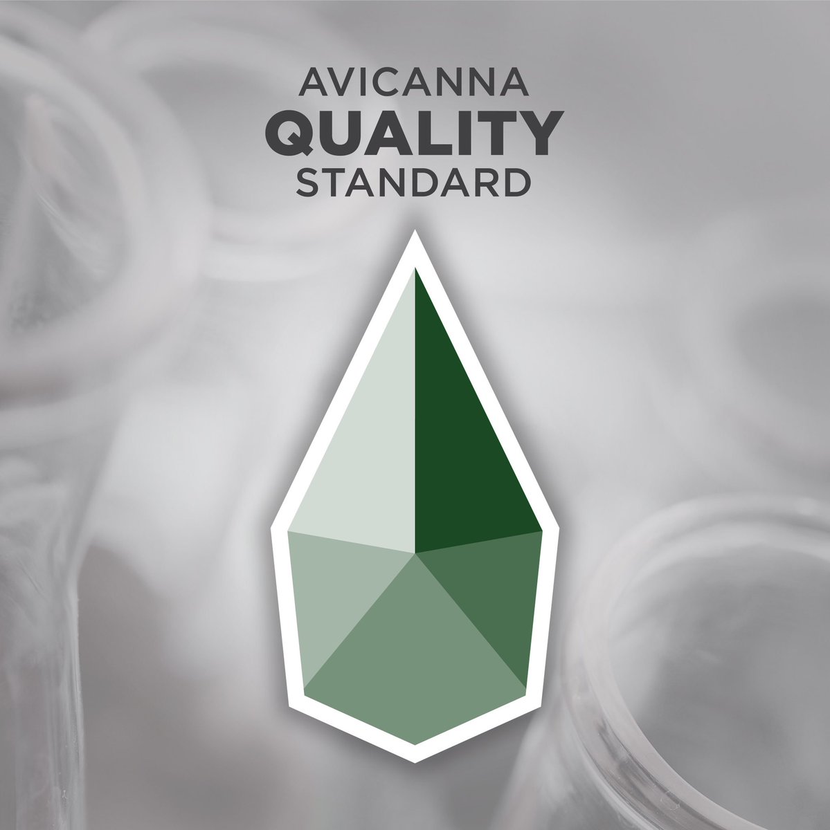 AvicannaInc's tweet photo. As Canadian thought-leaders in the first G7 country to legalize cannabis, we aim to set well-defined, world-class benchmarks. We are in the process of building a Quality Standard supported by science &amp; our commitment to #regulatorycompliance. Stay tuned!#AQS #CDNbiotech #CdnSci🇨🇦 https://t.co/8kwzvT666U