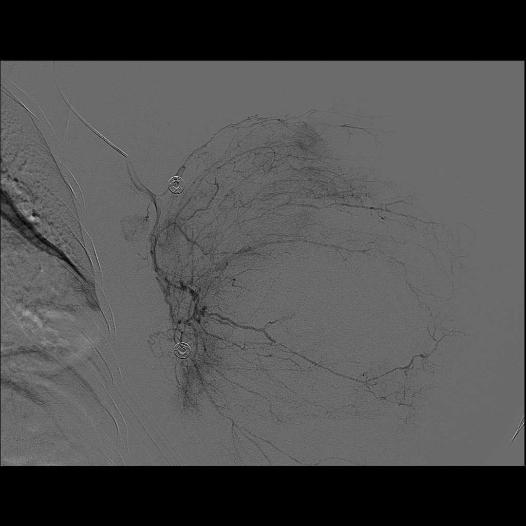 Nathan Ertel MD tweet media