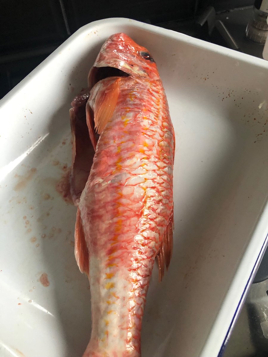 Jonathan Norris tweet media