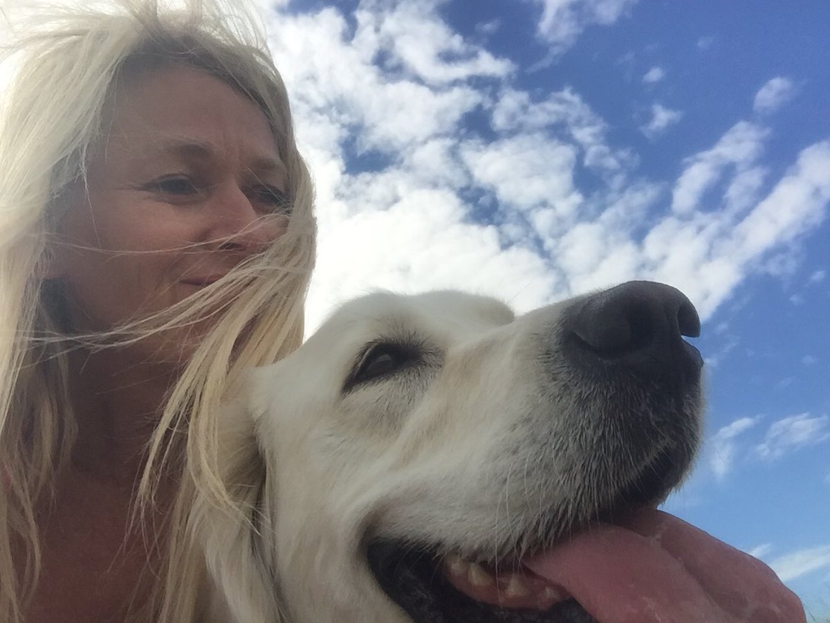 te_werner's tweet photo. Can you hold the space of compassion within yourself? She asked. #tewerner #writer #ownyourorbit #skygazer #englishcreamgoldenretriever #compassion #amwriting https://t.co/ImSwTBbGpV
