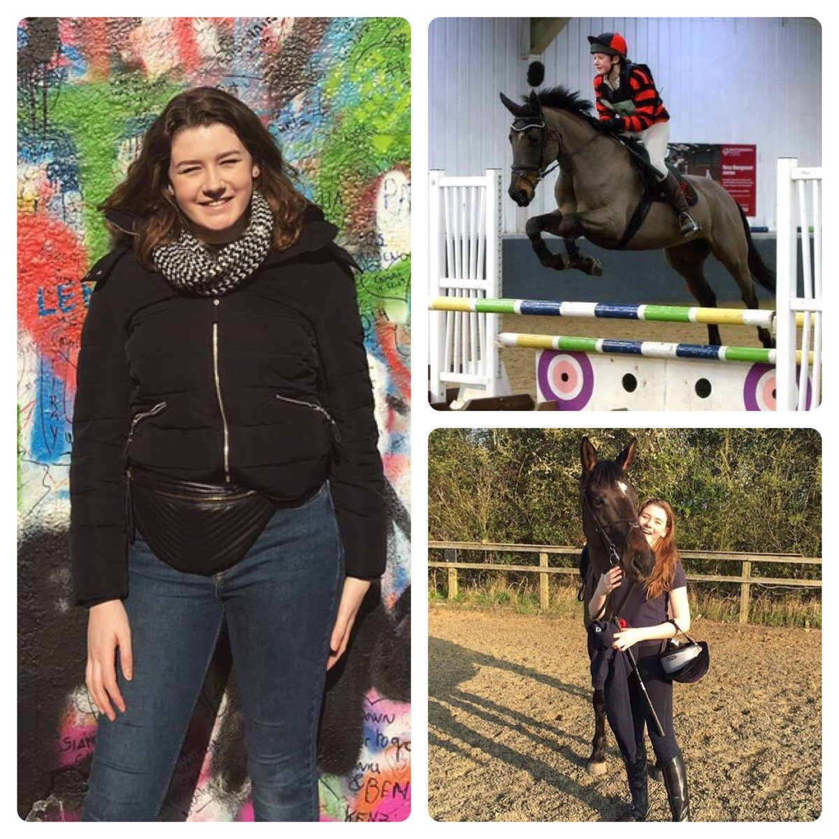 UEA Equestrian tweet media