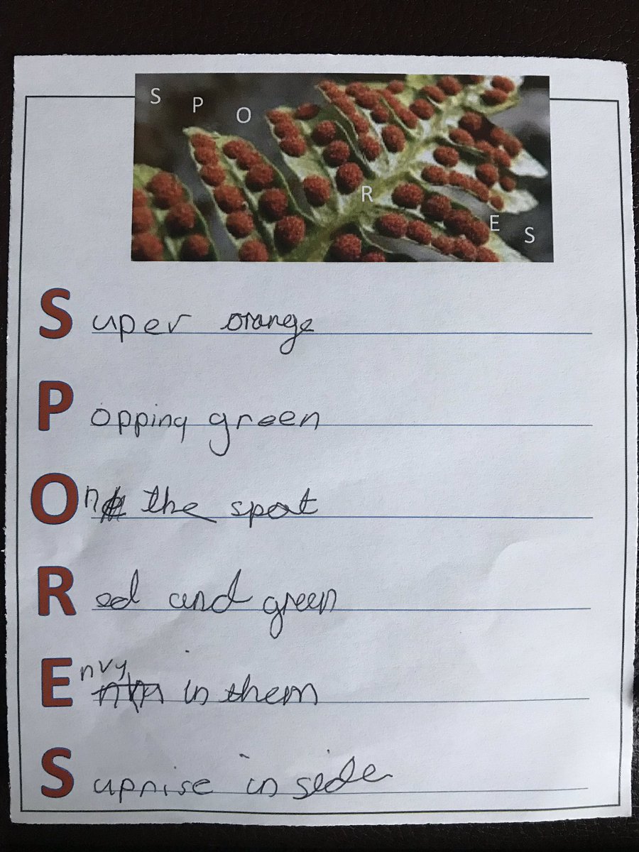 LibraryHanwell's tweet photo. Some of the pupils acrostic poems from today’s @CILIPCKG club @RobGMacfarlane - inspired by ‘Lost words’. Photos taken by children using a digital microscope @TTS_Group https://t.co/GDmL83Pm4y