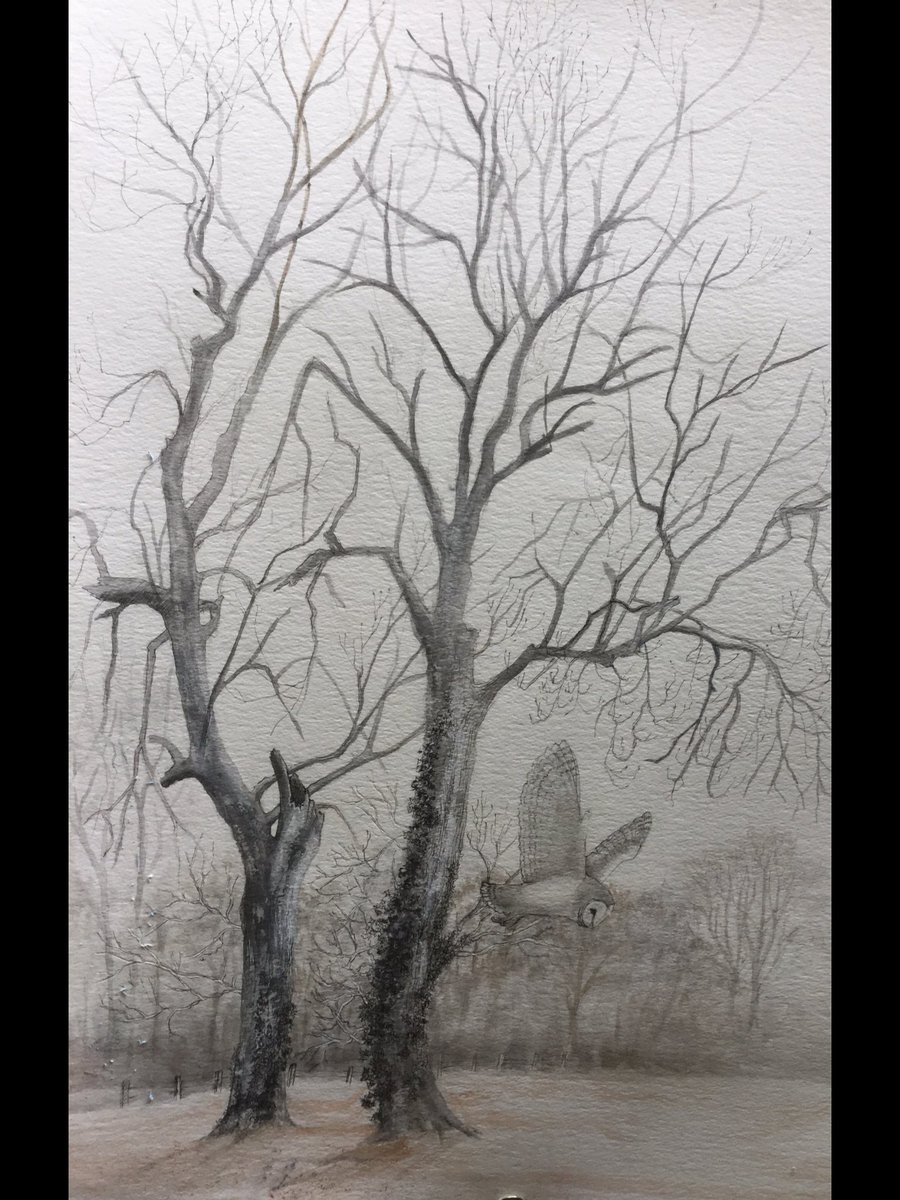 Vickimoonwolf's tweet photo. This work is called “ Silent Hunter”and was awarded a Bronze Citation at TWASI Exhibition at Nature In Art. 😁 https://t.co/96WC717lHi