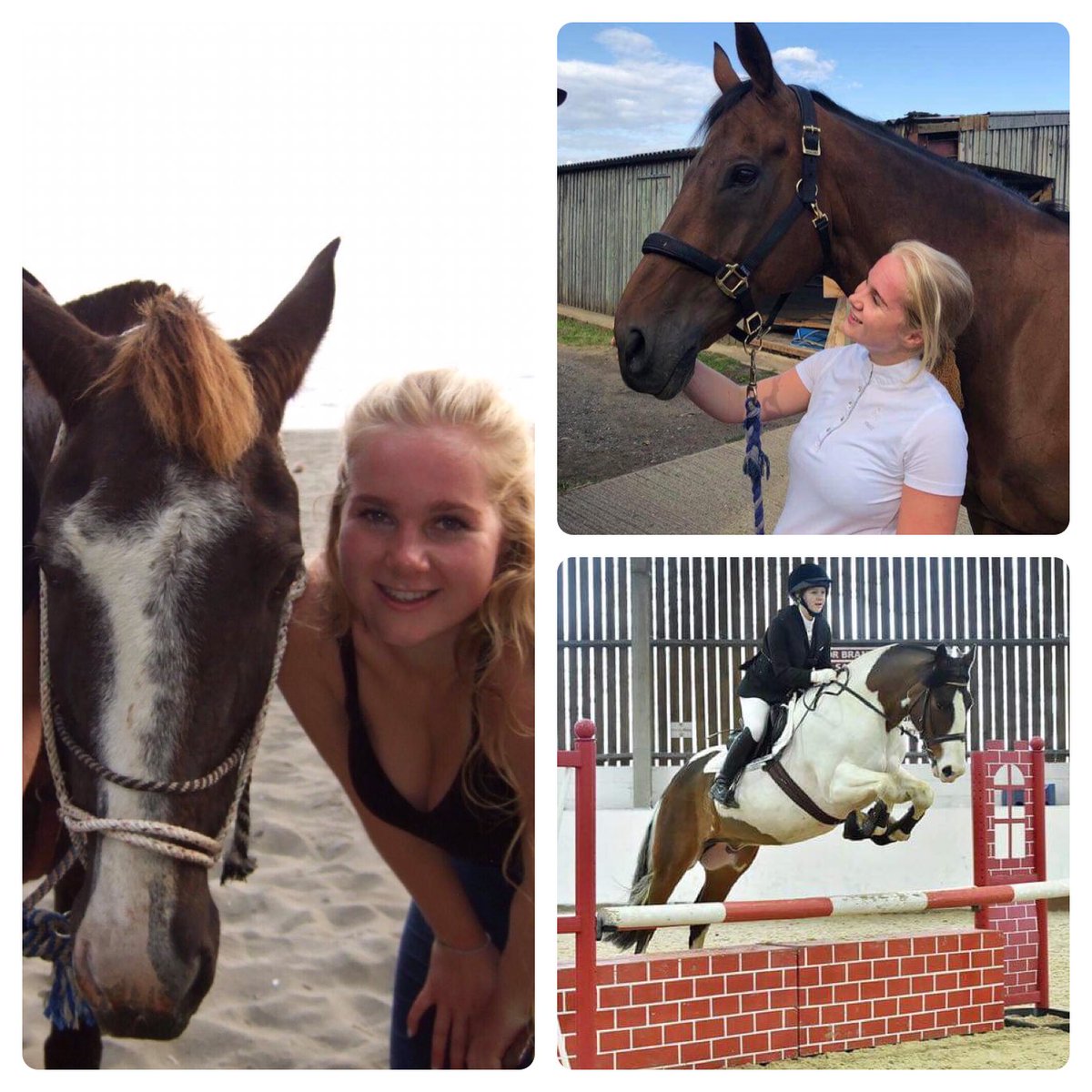 UEA Equestrian tweet media