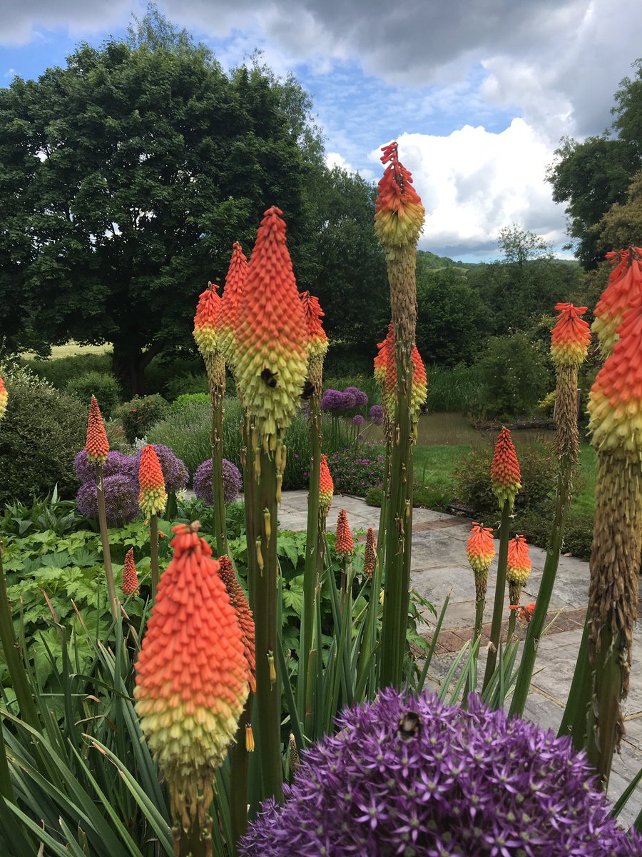 Shoreham Open Gardens Safari tweet media