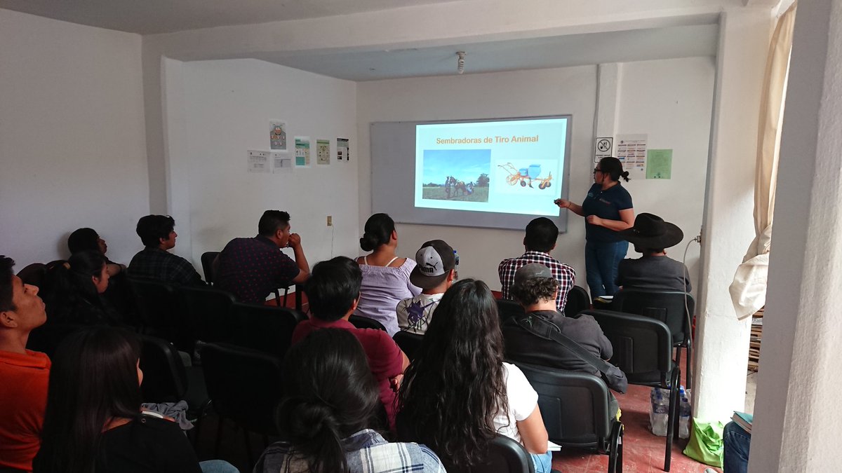 cidrural's tweet image. Iniciando acciones de vinculación con la EUAAZ con presentando los resultados del #HubPSur y @ACCIMMYT en #Oaxaca @Sedapa_GobOax @SADER_MEX @SAGARPA_Oax con el apoyo de @ecsosa @yashimvrc UPAPC y @inifap