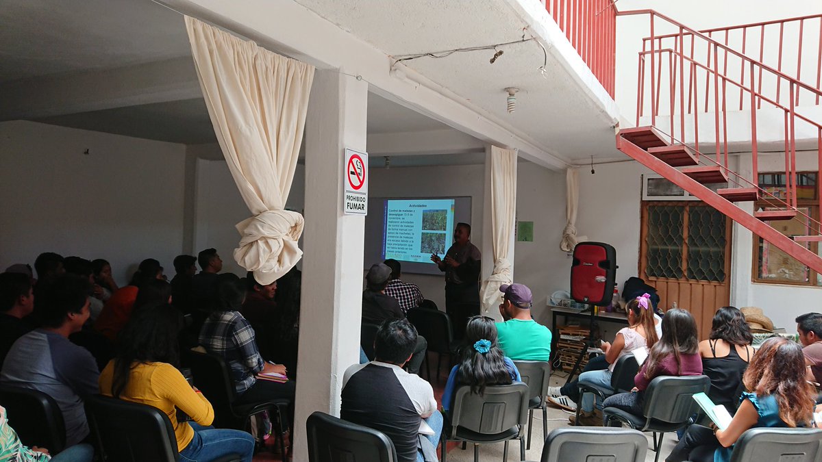 cidrural's tweet image. Iniciando acciones de vinculación con la EUAAZ con presentando los resultados del #HubPSur y @ACCIMMYT en #Oaxaca @Sedapa_GobOax @SADER_MEX @SAGARPA_Oax con el apoyo de @ecsosa @yashimvrc UPAPC y @inifap