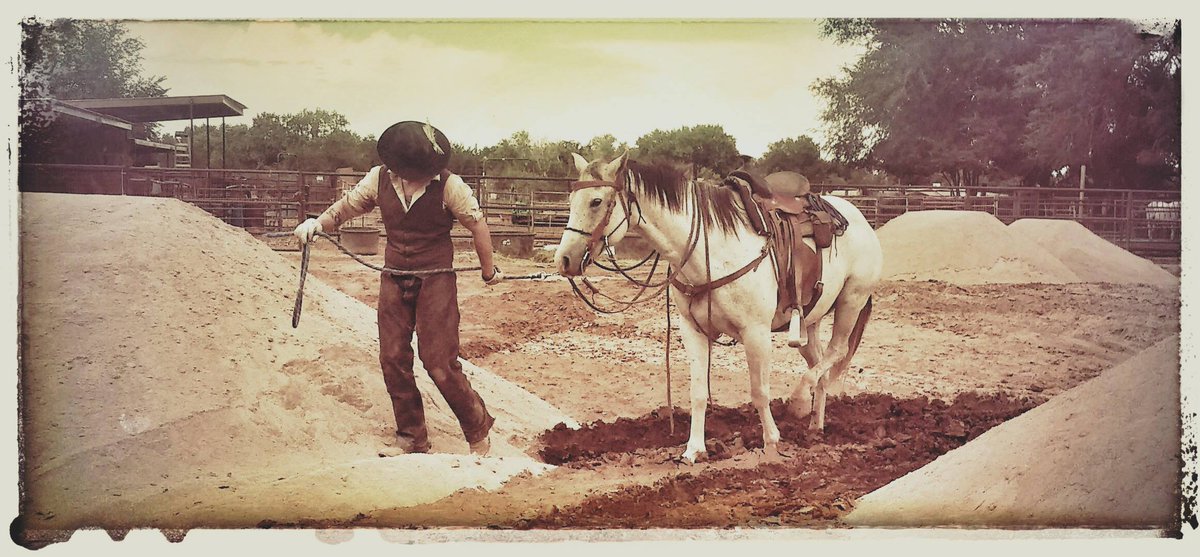 NMSFnonprofit's tweet photo. Film Industry Horse Management 101, free with pre-registration, sponsored by @nmsfnonprofit. Submission details in link https://t.co/PRQVV0zdYZ https://t.co/dEvQNiT77n