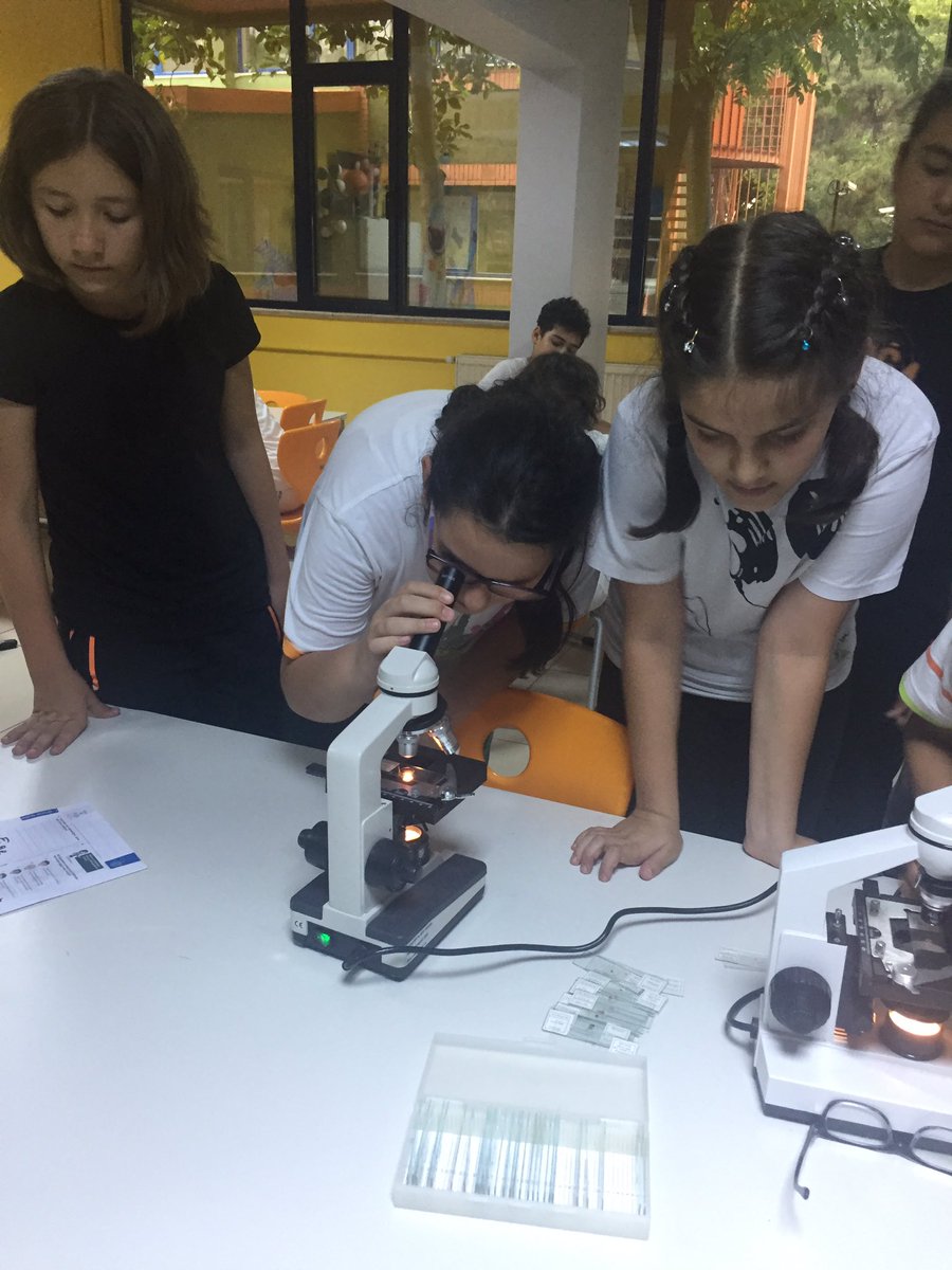 Yasemin34987801's tweet photo. 5. Sınıf öğrencilerimle mikroskopla incelemeler yapıyoruz.🔬 @hsynkara34 @BozkurtRezan https://t.co/otfUQDI1Ef