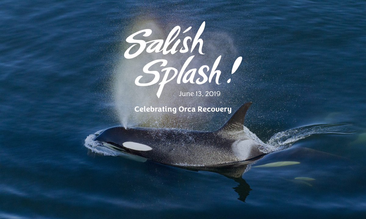 chb_tacoma's tweet photo. Don't miss the #SalishSplash tomorrow in Tacoma! It'll be at Jack Hyde Park from 4-5PM. Get event details at https://t.co/7SH4JBh32B. https://t.co/PFj8GyvzLi