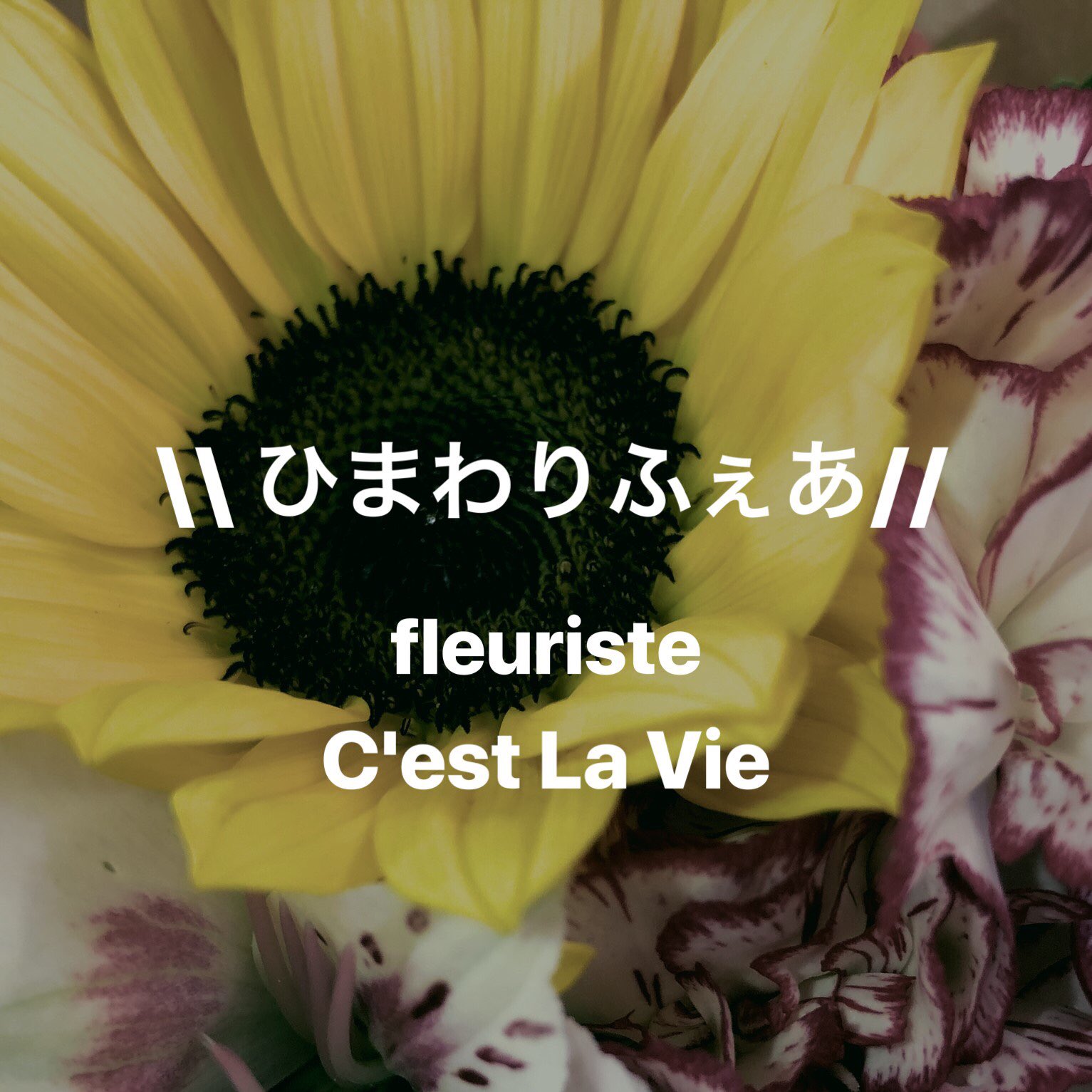 花かず太宰府店staff 父の日まであと3日 ひまわりフェア開催中 Cestlavie Dazaifu セラヴィ 太宰府店 フローラコスモス 太宰府の花屋 太宰府 太宰府市 筑紫野 筑紫野市 福岡 Fukuoka Dazaifu 二日市 五条駅 花屋 フラワーショップ 花かず太宰府店staff 父の日まであと3日 ひまわりフェア開催中 Cestlavie Dazaifu セラヴィ 太宰府店 フローラコスモス 太宰府の花屋 太宰府 太宰府市 筑紫野 筑紫野市 福岡 Fukuoka Dazaifu 二日市 五条駅 花屋 フラワーショップ