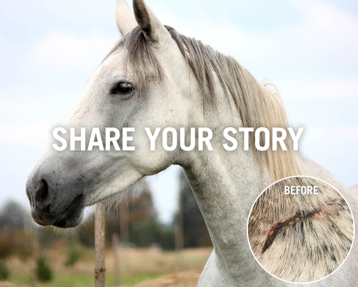 🐾Vetericyn🐾 tweet media