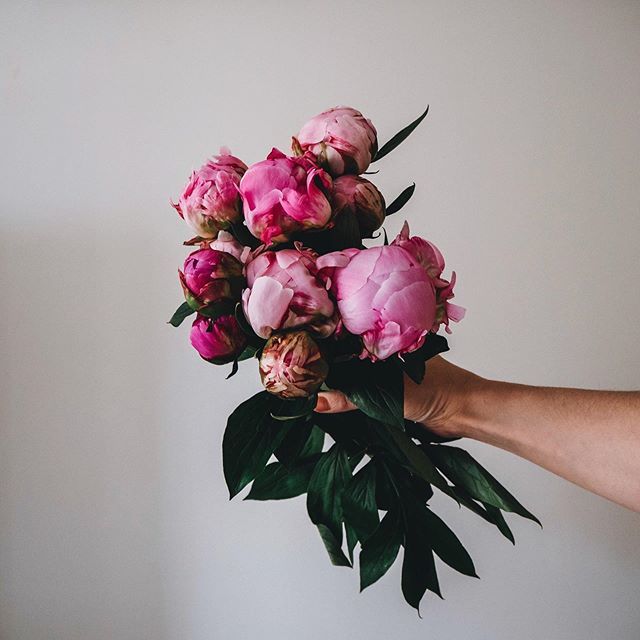 winnettes_'s tweet photo. Pink 💗
•
Do you like pink? I like it in flowers (a lot) and on cakes or other baked deliciousnesses.... but otherwise I’m fussy about the hue of it.
•
Fortunately for pink I have two daughters that love the colour so it survives in our house in all t… https://t.co/LZQXDUPUY4 https://t.co/WxaneoCp3m