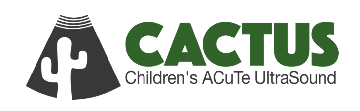 avkwong's tweet photo. POCUS comes to PICU: Introducing #CACTUS

Have a look at the training document for Children's ACuTe Ultrasound

https://t.co/QImroVhOkg

#PaedsICU #PedsICU #POCUS https://t.co/p7nzqPbCtB