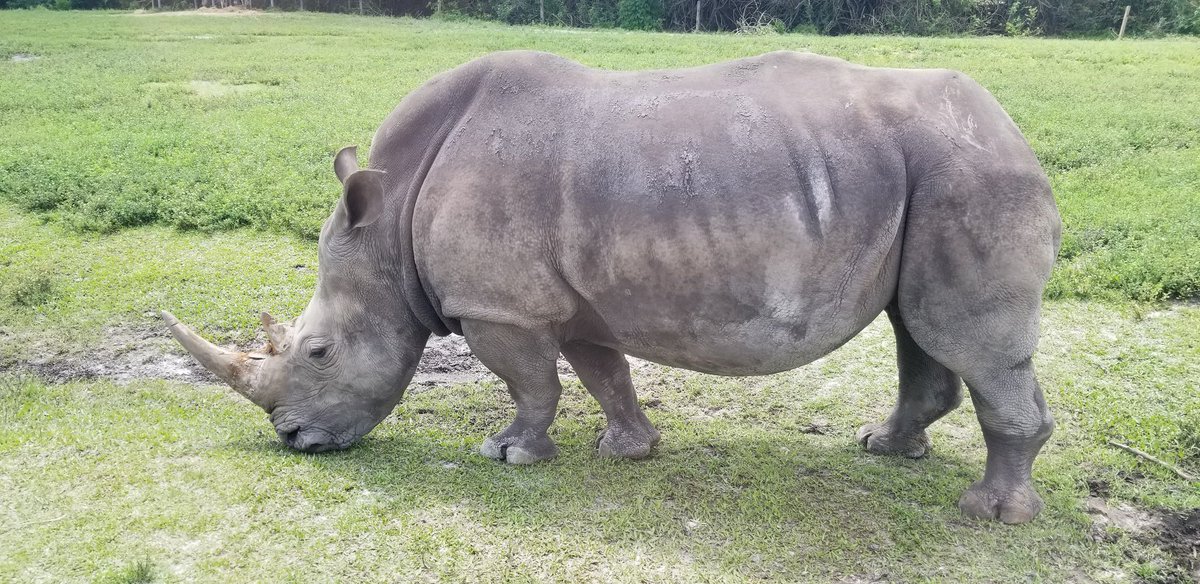 Great day during 0224 #dhevent  <a href="/GeoffMontgomer2/">Geoff Montgomery</a> for this amazing day #teambuilding #224homedepot