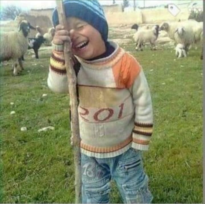 thamalloyd's tweet photo. @Black_JusticeSA @Tshepy_Peters That's so me too. And then have to act like you don't care https://t.co/VKPAXLZ4Gd