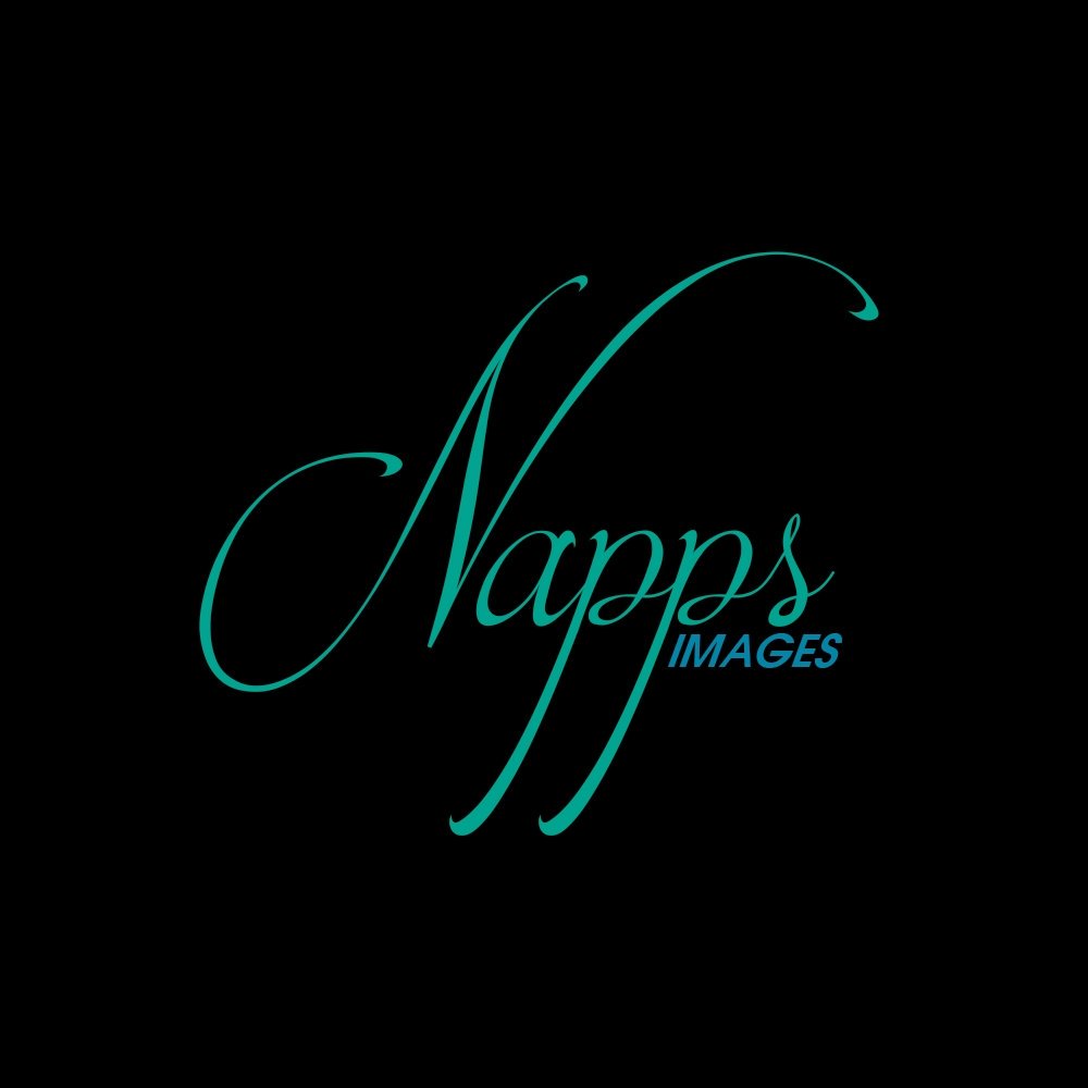 Napps Production tweet media