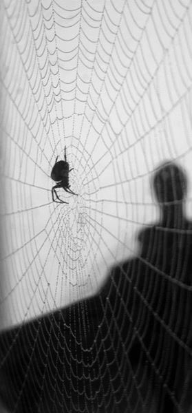 RoseCottageofC's tweet photo. Fancy a ghoulish evening? Join #bigfisharts on July 2nd for our monthly #Playreading group. Take a part/listen to ‘Dracula’ - a comic-horror play in two spine chilling, rib-tickling Acts. £2 for entry & Cottage funds.
#sheerness #sheppey #lovetheatre #gothic #loveperformance https://t.co/WnDZgM4cRL