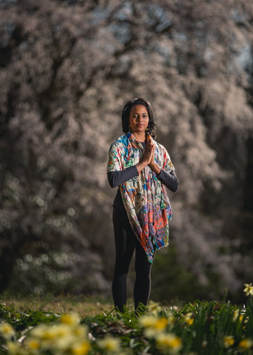 Michelle Johnson tweet media