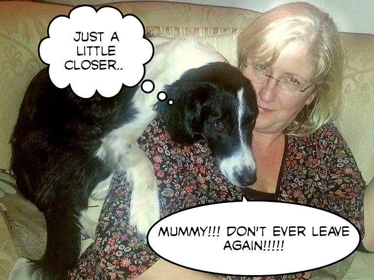 MUMMY CAME BACK!!!
SHE WAS GONE FOREVER!! #dogcuddles #dogsnuggles #parrotdog