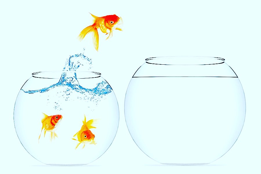 epayms's tweet photo. 💳 #ePay understand that making the decision to #switch #paymentproviders can be concerning 🤔 Rest assured that joining ePay is the RIGHT decision to help grow your business 🙌
Call 2 find out why more #businessowners are deciding 2 #switchtoepay ☎️01244955444☎️
#WeLoveGoodTimes https://t.co/uX3OgfpuGj