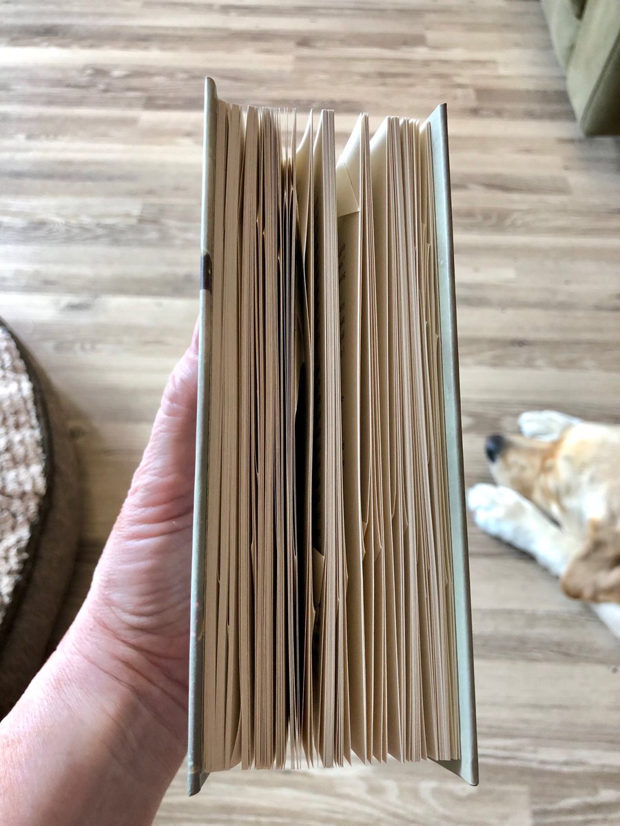 CandyM_FL's tweet photo. The psychological insight of warfare, the manipulation of strengths &amp; weaknesses, the hope of learning from mistakes — all captivating! Learned some vocab, too, like “hegemon” &amp; “ansible.” Ear-marked profound or descriptive lines for my post-reading diary. 
#PSLHS_SummerReading https://t.co/FtHr1FAI8X