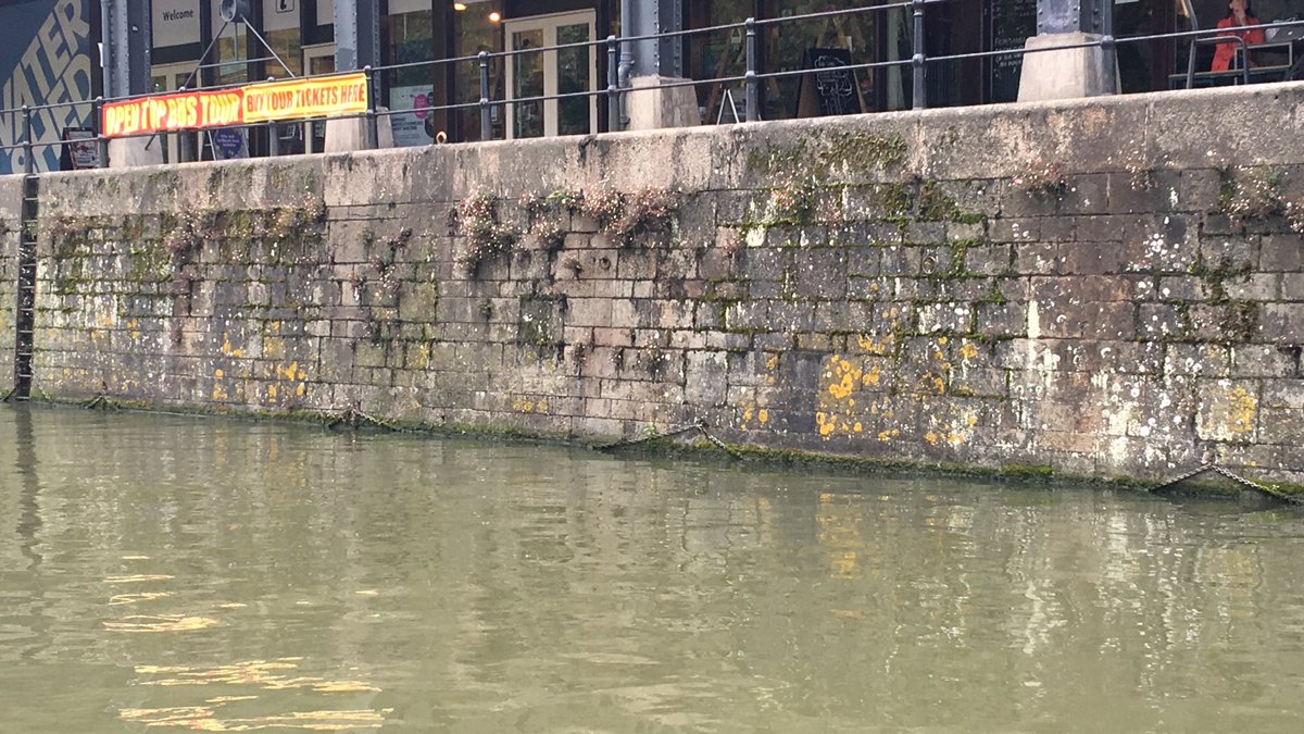 WeirdBristol's tweet image. This chain, which hangs at the waterline around most of the harbour is called the “life chain”. It provides something to hold onto if people fall in the water until rescue comes. I believe this is not just an interesting fact but something everyone in #Bristol should be aware of!