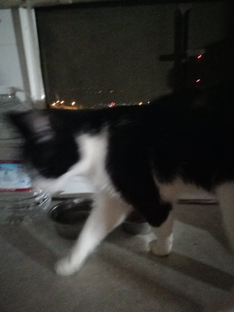 TeeMarie tweet media