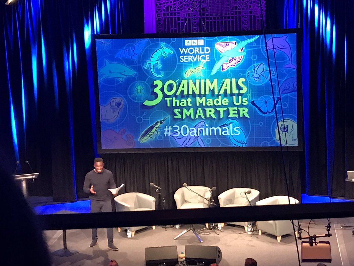 At a nerd fest 🤓 watching a podcast recording on how animals made us smarter - did you know the bullet train is modelled on a kingfishers beak?! #30animals