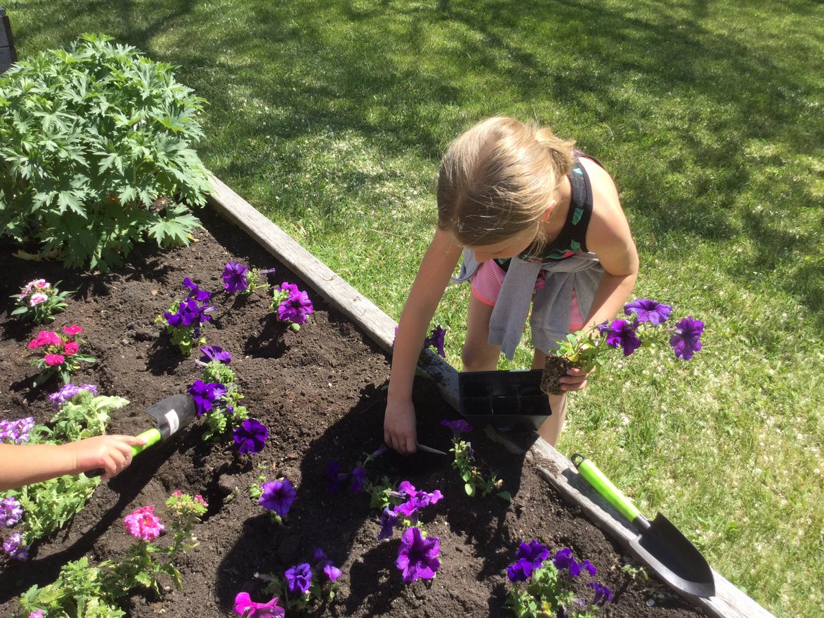 MandyMurph0024's tweet photo. Today we planted some flowers so our butterflies will have some food when they hatch. Today is day 20...how many more days before they emerge?? https://t.co/AtaP6WVpgX