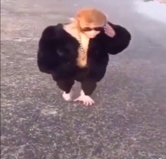 in theory having the same account for 6 years is fine in practice its driving me crazy! too many tweets! we going ✈️ <a href="/Iatenightlwt/">vi rt 📌 s worded era</a>