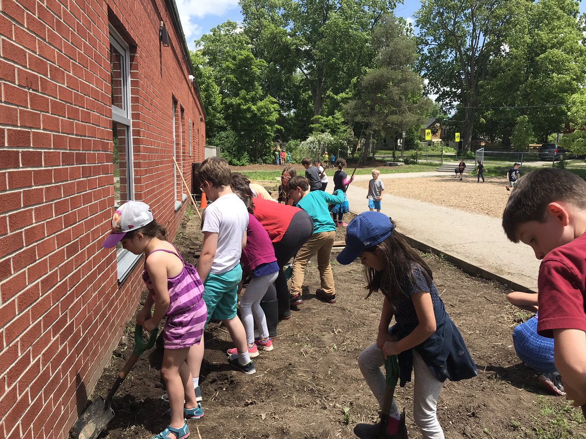 mllevaughan's tweet photo. It’s that time of year when I #fakeittillimakeit in the garden! Thank goodness I am surrounded by amazing educators who have Green Thumbs! Let the projects continue! @MmeDrumm @MoniqueCadieux #growthmindset #beansbeans #coteaching #pollinators @ugdsb https://t.co/rQQ5UARcgS