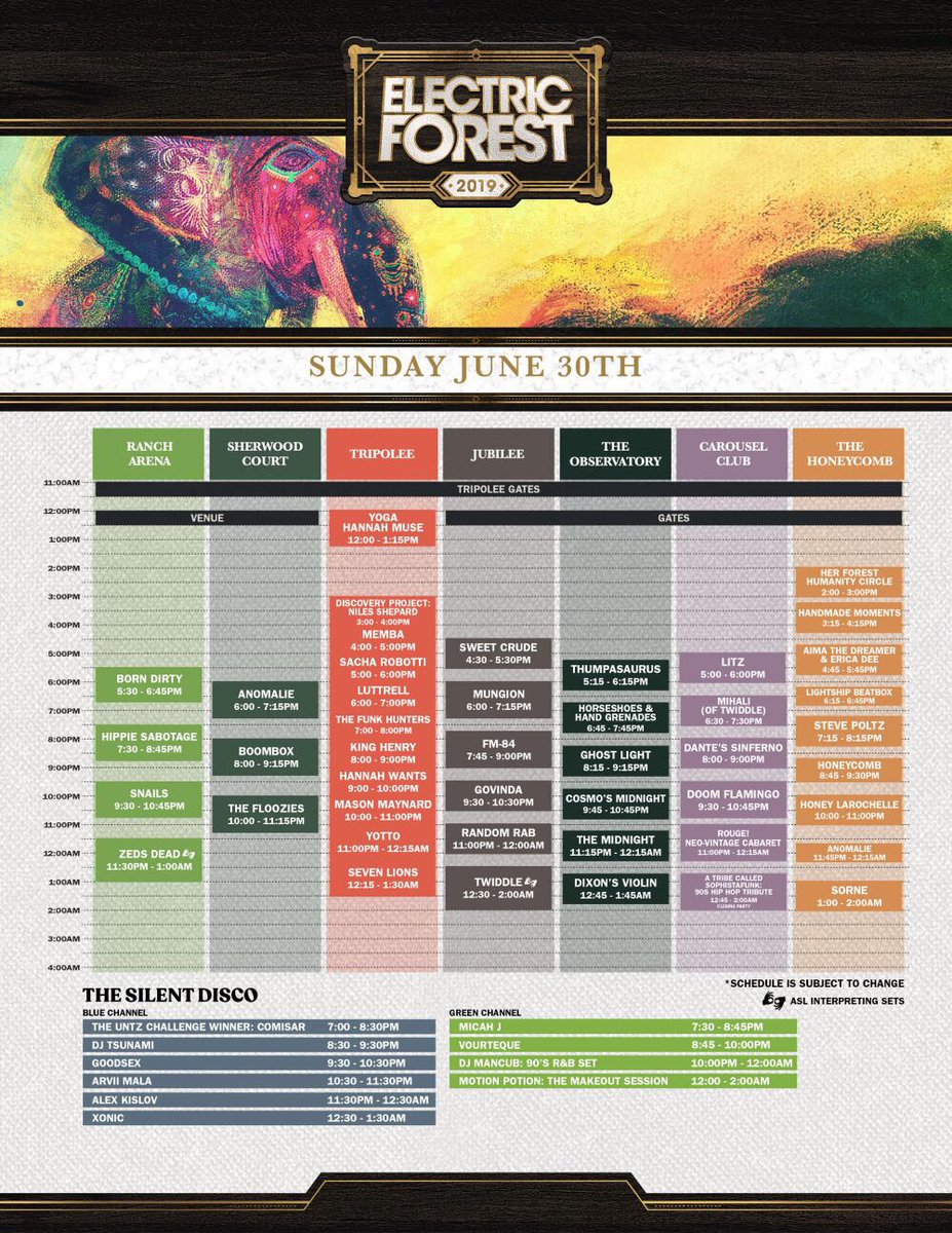 djtsunamichii's tweet image. Maaaan I’m so amped for @Electric_Forest in 2 weeks!  Catch me playing in the Silent Disco on Sunday night!