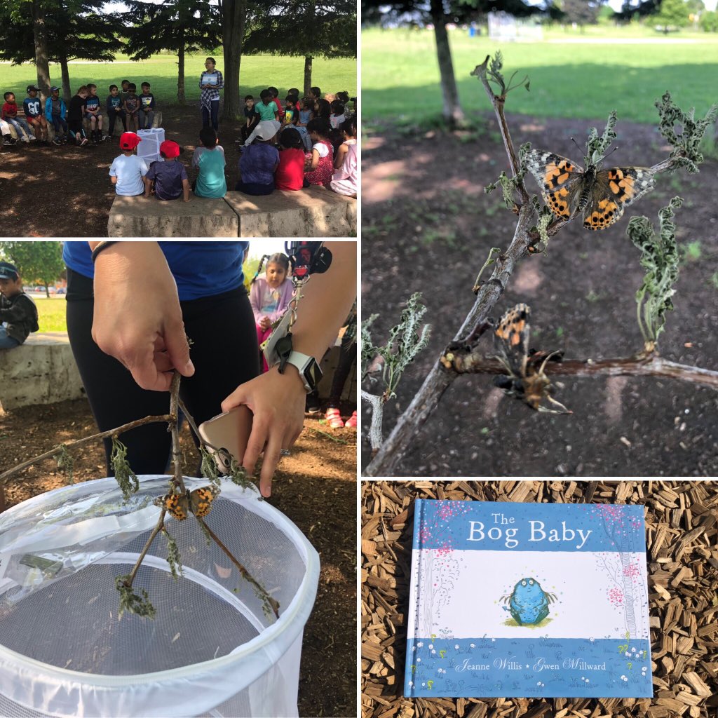 KinderNg10's tweet photo. Reading The Bog Baby reminded Ss the importance of releasing our special creatures back into nature. Thank you butterflies for our new discoveries these past couple weeks. #tdsb #kinderlife @TWPublicSchool @MauroPaluzzi @schan_tdsb https://t.co/XPeo9eORY8