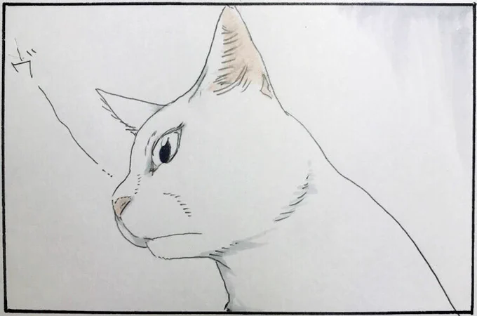 『荒ぶるシッポ』 