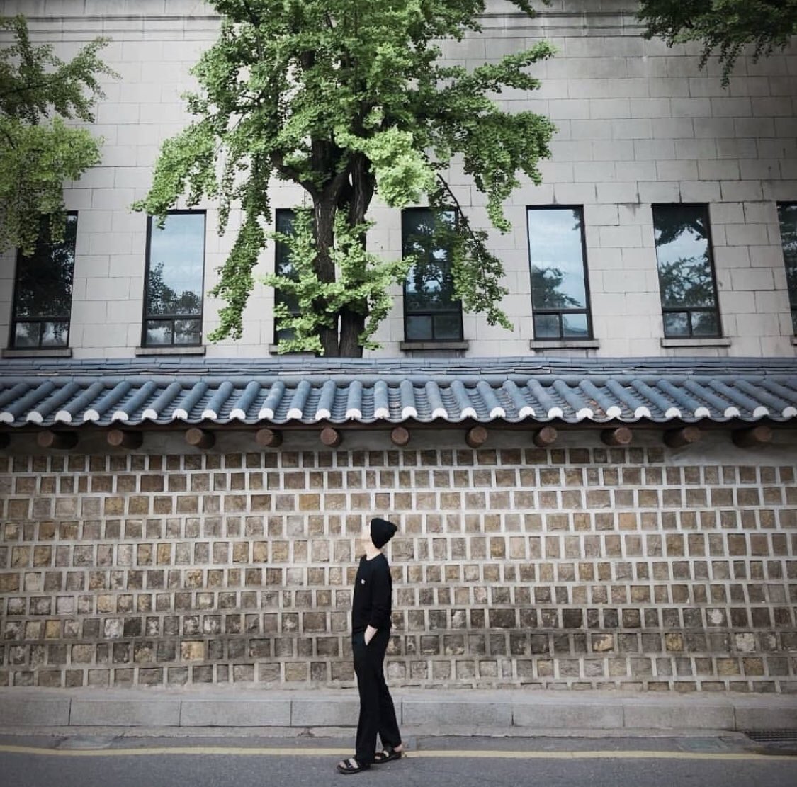 eunwooarchives's tweet photo. ↳ 190612
    cr. eunwoo instagram post
#차은우 ; #아스트로 https://t.co/uBH5cpxwWj