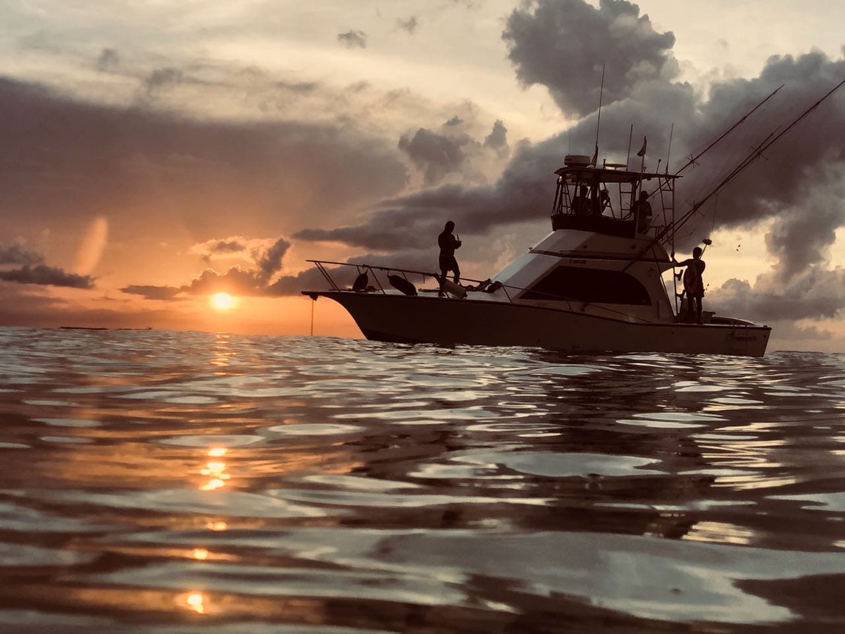 CancunShuttle's tweet photo. This is what a sunset looks like in Cancun, special thanks to Samaki Cancun Fishing Charters for the pic!! #cancun #cancunshuttle #sunset #travel #ocean #boat https://t.co/eO41zQ7aLV