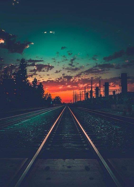 حواء tweet media