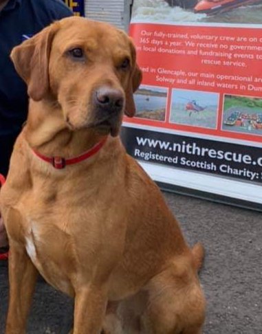 NithRescue's tweet photo. Three sleeps until Tough Mudder, can you help with a donation? Tam and the NIR Crew will use the money raised towards equipment and running costs. 

https://t.co/HqsZXBhax5 https://t.co/TISQuQ41MD