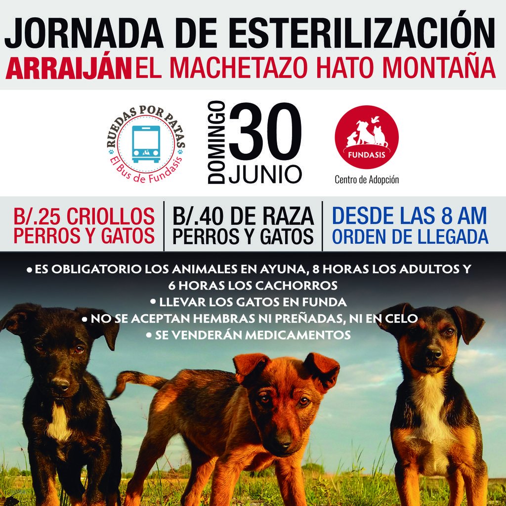 ATENCIÓN ARRAIJÁN, HATO MONTAÑA - JORNADA DE ESTERILIZACIÓN | DOM. 30 DE JUNIO 

‣ Puedes llevar a ese perro o gato a partir de los 2 meses de edad.
‣ Si tu perra o gata está recién parida, puedes operarla después del mes de haber tenido las crías. 

Te esperamos!

#Esteriliza