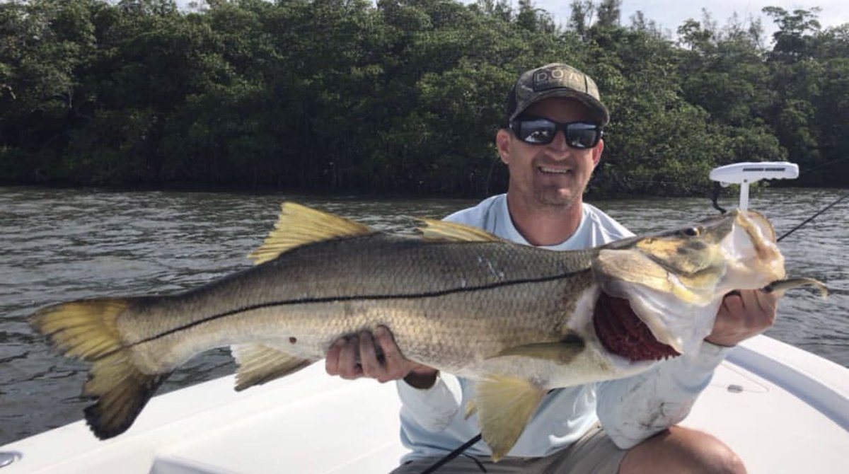 doaluresusa's tweet photo. John Allen caught this big snook with Capt. Ed using the DOA C.A.L. 3โ shad tail #406 Arkansas Glow. #doalures #snook #fishing https://t.co/Jau0vfoVrX
