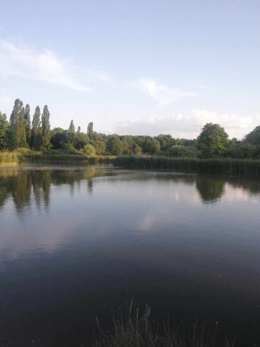MarvinRuebhagen's tweet photo. #BeeBank๐, Obstbรคume๐, Blรผhflรคchen๐ผ... wir haben heute bei einer Ortsbegehung Ideen gesammelt, wie das Gebiet am รmminger See in #Bochum รถkologisch aufgewertet werden kann.
Falls euch noch was einfรคllt, schreibt es in die Kommentare. ๐ https://t.co/NcTsEyNJXq