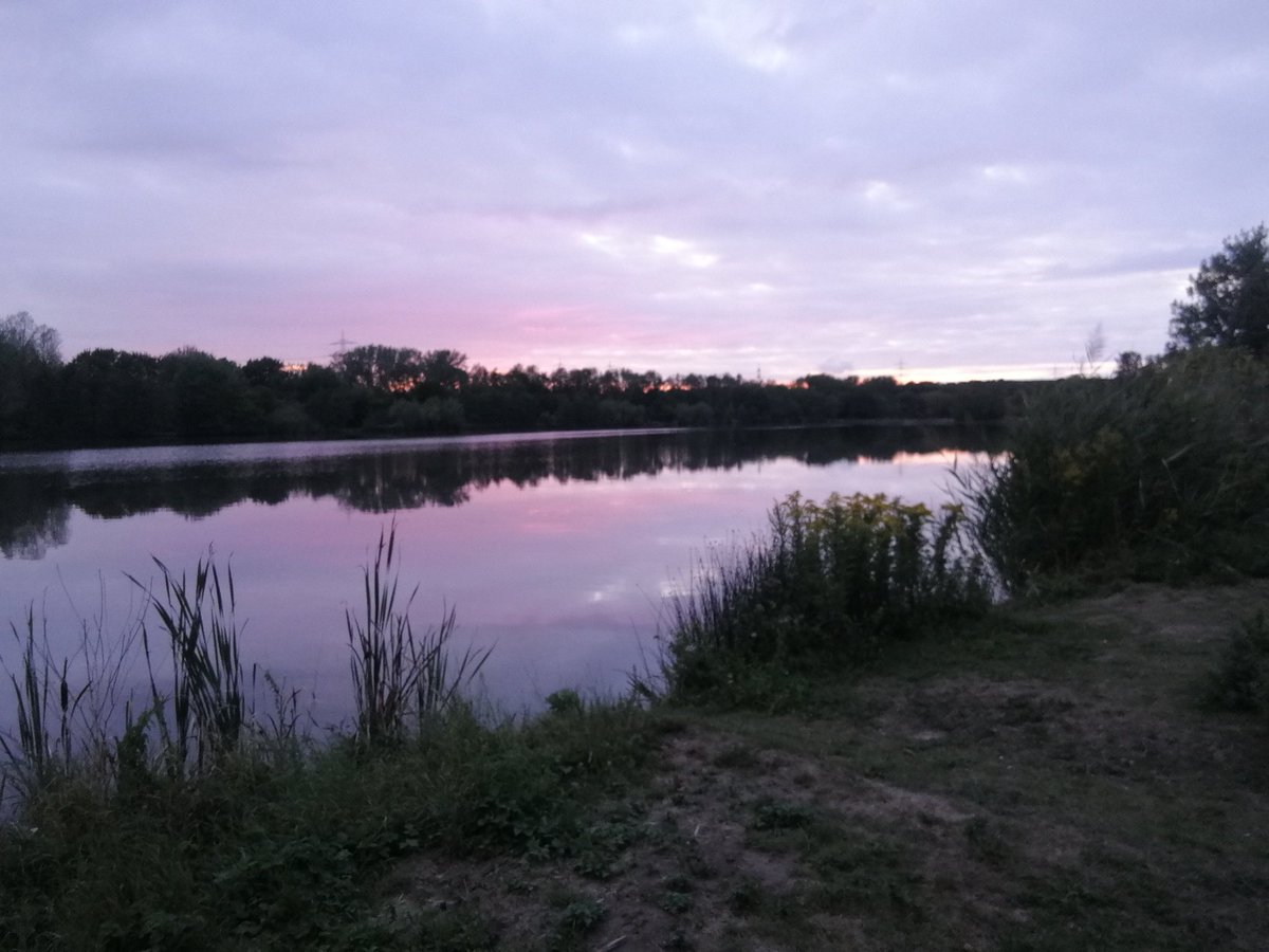 MarvinRuebhagen's tweet photo. #BeeBank๐, Obstbรคume๐, Blรผhflรคchen๐ผ... wir haben heute bei einer Ortsbegehung Ideen gesammelt, wie das Gebiet am รmminger See in #Bochum รถkologisch aufgewertet werden kann.
Falls euch noch was einfรคllt, schreibt es in die Kommentare. ๐ https://t.co/NcTsEyNJXq