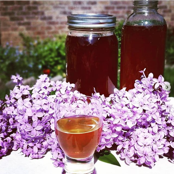 DianesFoodBlog's tweet photo. Lilac Liqueur https://t.co/LtHRCfW8t3 https://t.co/iQxlnecucD
