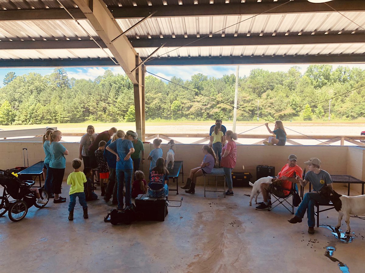 CalhounCoExt's tweet photo. We had a great day at the Webster &amp; Calhoun County meat goat camp. Excellent group of youth and volunteers learning about 4-H livestock. Also some new exhibitors recruited to the program today! https://t.co/XGICsmNXxD