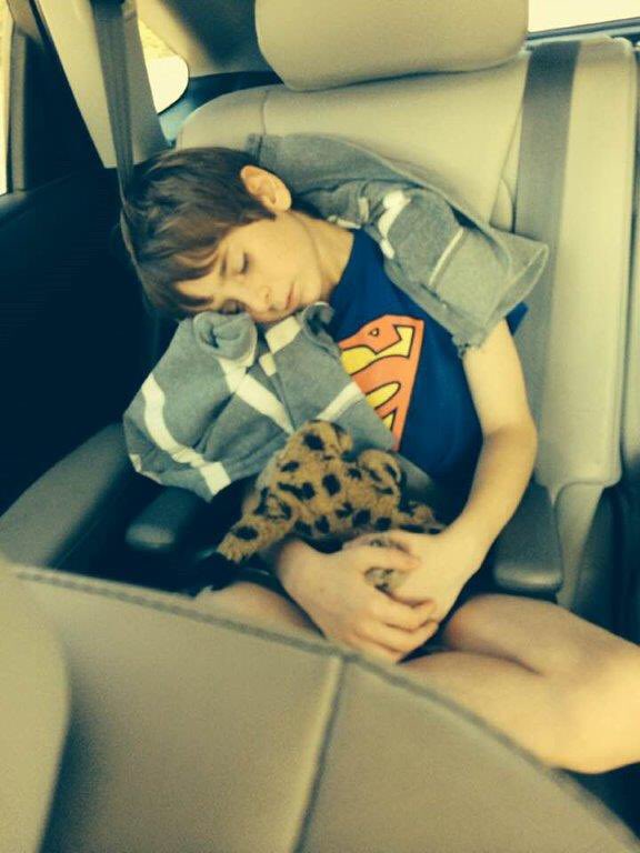 farecatersarah's tweet photo. “Flight attendant took my sons bag thinking it was abandoned. Help me reconnect a boy and his tiger!  MacBook Pro and iPad can be replaced, Tiger means everything! #americanairlines #findtiger #SFO #fail https://t.co/UjwG0prRMY