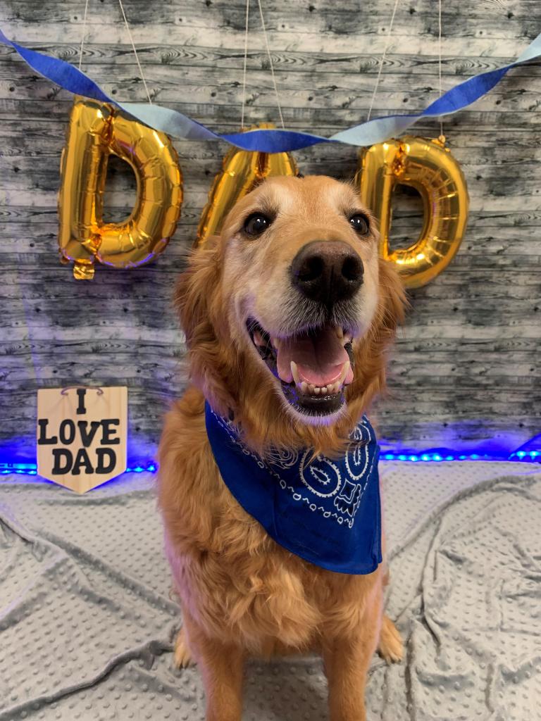 PetSmart's tweet photo. Want a photo of your favorite fur kid?πΆ PetSmart's Doggie Day Camp's Luv My Dad playdate is 6/13 from 9am-5pm! Call to reserve your purchased day of play at select locations & tweet us your photos using #petsmartplaydates and tagging @PetSmart (π·: IG petshotel548) https://t.co/RvTyfChNNw