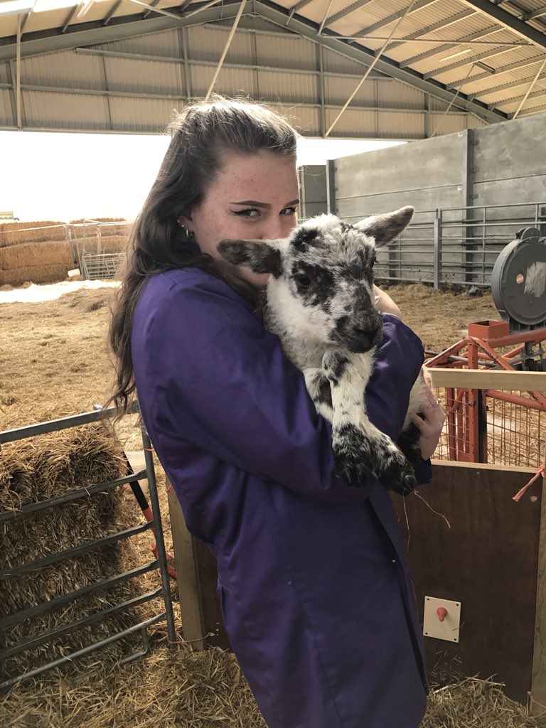 AprilScarth's tweet photo. @katiedanville Here’s me with a lamb https://t.co/yag0RIL6Aj