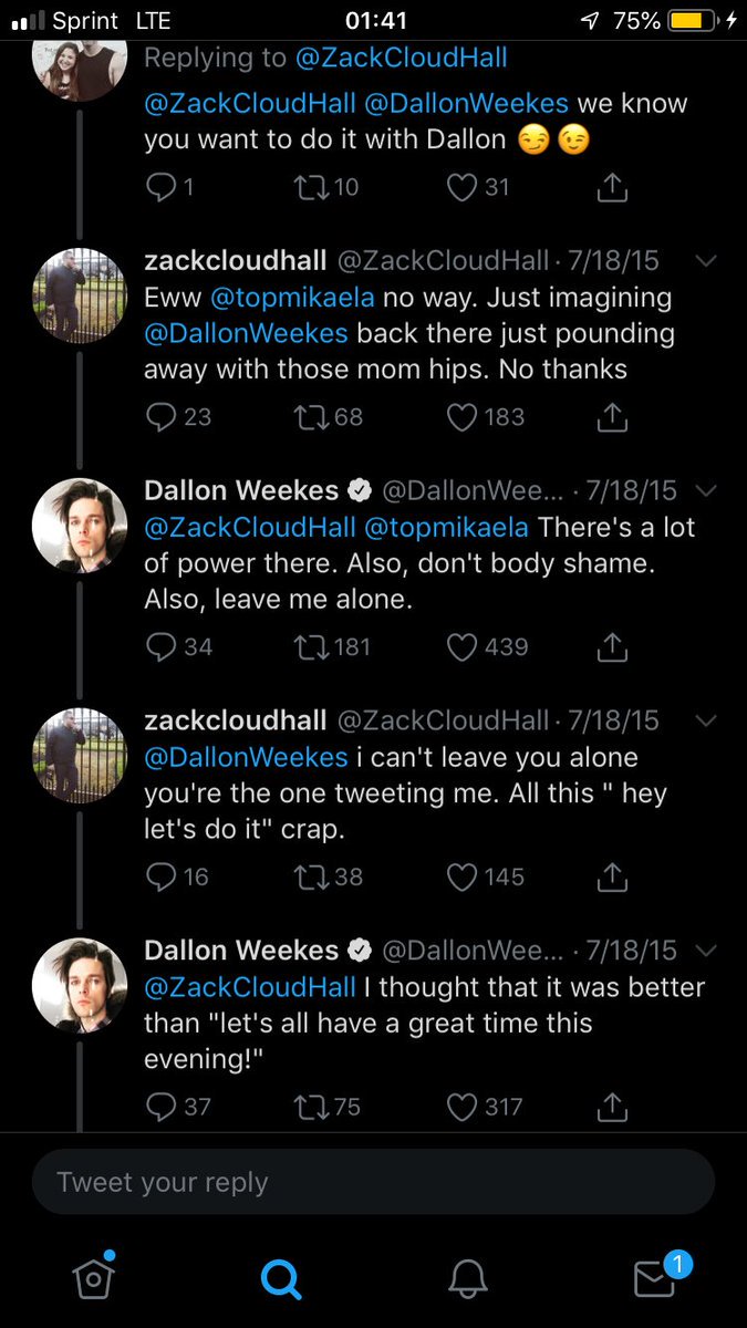 some of what he says is straight up insulting dallon while some of them are just him being rude. either way, not cool.